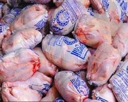 توزیع بیش از ۱۰۰ تن گوشت مرغ منجمد در سطح لرستان