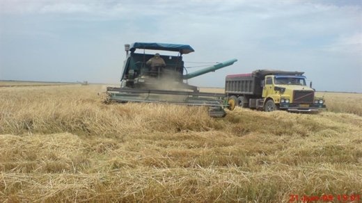 Iran Agriculture Ministry supplying basic items despite sanctions Iran Agriculture Ministry supplying basic items despite sanctions