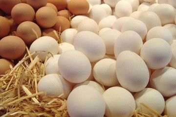 تخم مرغ روی ارزانی را نمی‌بیند/ تولیدکنندگان: قیمت‌ها باز هم پایین است!