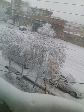 بارش برف در آذربایجان‌غربی