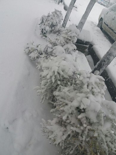 بارش برف در آذربایجان‌غربی
