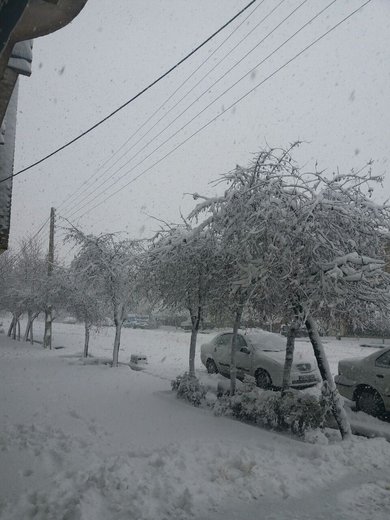 بارش برف در آذربایجان‌غربی