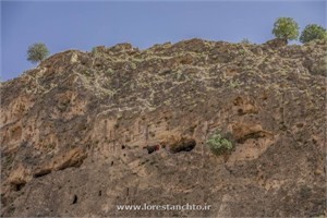بازسازی زیر ساختهای گردشگری غار کوگان آغاز شد
