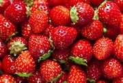 توت‌فرنگی در صدر فهرست میوه‌هایی با بیشترین میزان آفت‌کش