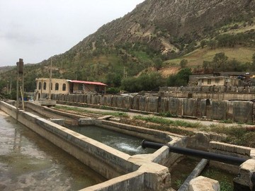 پرورش دهنده ماهی استان چهارمحال‌وبختیاری  منتخب ملی شد
