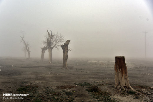 مه گرفتگی صبحگاهی در مشهد