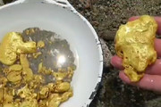 فیلم | استخراج طلا از گل و لای