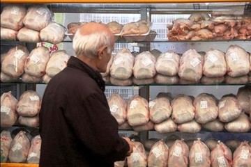  مرغ در بازار ۳۰۰ تومان ارزان شد/ قیمت روز ۱۴ هزار و ۲۰۰ تومان 