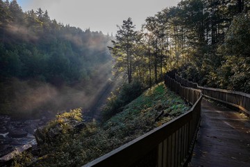 پارک ایالتی Blackwater Falls در ایالت ویرجینیای غربی آمریکا