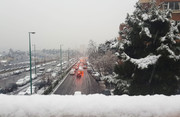ببینید |  بارش برف در خیابان باهنر تهران در آخرین روز بهمن