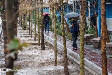 بارش زمستانی باران در تهران