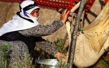 عشایر آذربایجان شرقی در تولید فرآورده‌های عشایری چهارم کشور هستند