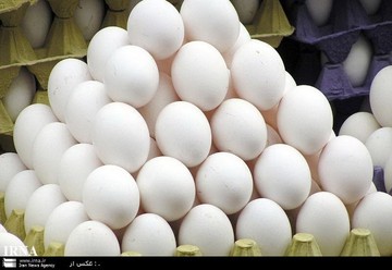 نرخ تخم مرغ دانه‌ای در بازار تهران