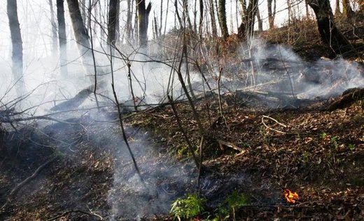 مهار آتش‌سوزی در زیباترین جنگل‌های ایران
