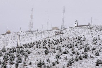 بارش برف در شهرکرد