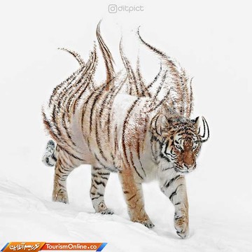 خلق آثار هنری با فتوشاپ