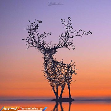 خلق آثار هنری با فتوشاپ