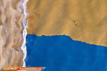 منتخبی از شرکت کنندگان رقابت درونستگرام