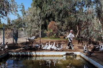 بحران آب در سیستان و بلوچستان