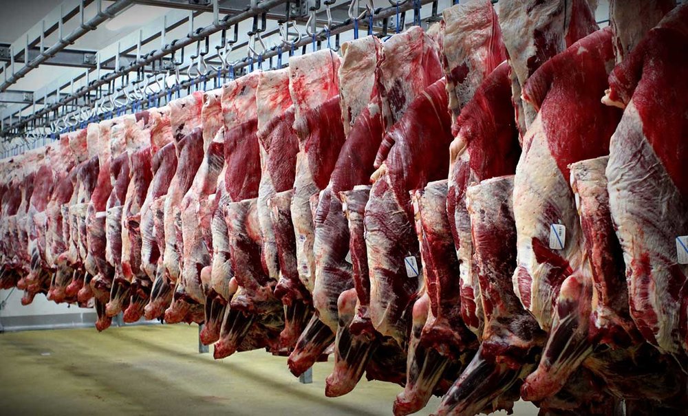 سرانه مصرف گوشت اعلام شد