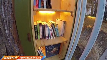 درخت 110 ساله  در کوردالن، آیداهو آمریکا کتابخانه شد