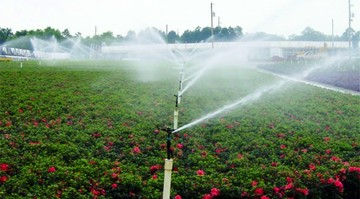 اجرای ۵۶ هزار هکتار سیستم آبیاری نوین در اراضی آذربایجان شرقی