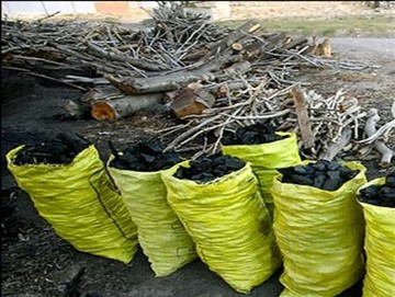 کشف بیش از یک تن فراورده‌های جنگلی قاچاق در شهرستان کیار 