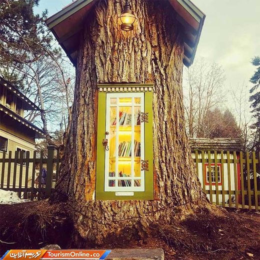 درخت 110 ساله  در کوردالن، آیداهو آمریکا کتابخانه شد