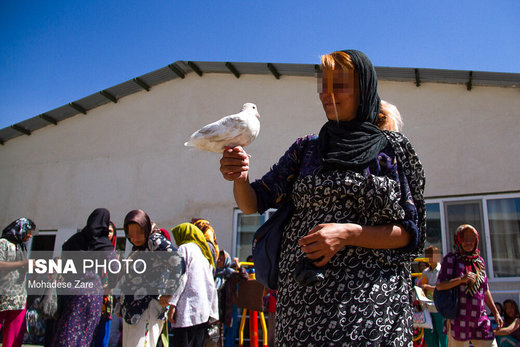 زنان نگهداری شده مرکز اقامتی در مشهد، سرگرمی‌های گوناگونی دارند و یکی از سرگرمی‌ها، غذا دادن به کبوتران است
