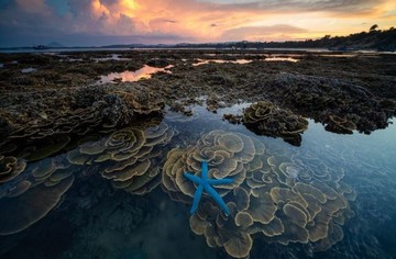 عکس | ستاره آبی در عکس روز نشنال جئوگرافیک