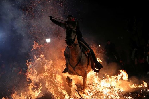 یک زن اسپانیایی در روز بزرگداشت «سنت آنتونی» که نماد حمایت از حیوانات در این کشور است با اسب از میان شعله های آتش عبور می کند