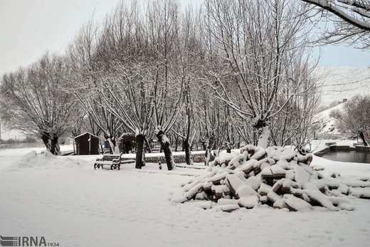 بارش برف در منطقه سراب هنام از توابع شهرستان سلسله