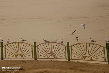 گرد و خاک در آسمان اهواز