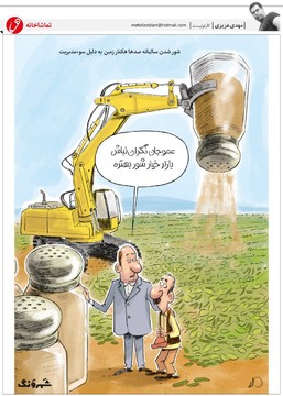 کشت خیارشور هم کلید خورد! 