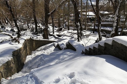 طبیعت زمستانی آبشار گنجنامه