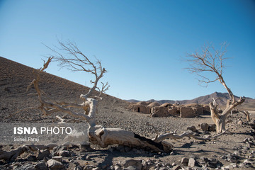 روستاهای اطراف شهرستان سربیشه استان خراسان جنوبی زمانی نه چندان دور پر از شور، نشاط، زندگی بودنده‌اند