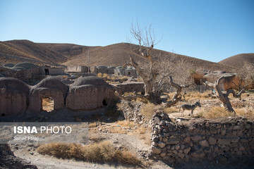 یکی از روستاهای اطراف شهرستان سربیشه استان خراسان جنوبی که مخروبه شده‌ و وجود حیوانات تنها نشانه‌های زندگی در آن‌ است