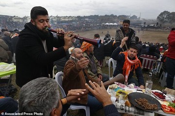 جشنواره کشتی شترها در ترکیه