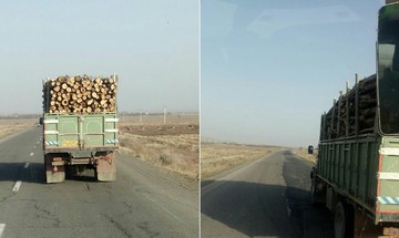 قاچاق چوب به اوج رسید/ کشف ۴۱۰ تن چوب قاچاق طی یک ماه گذشته در آذربایجان‌غربی