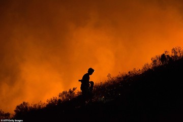 آتش‌سوزی در آفریقای جنوبی