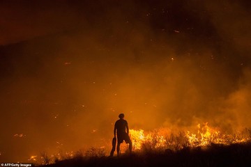 آتش‌سوزی در آفریقای جنوبی