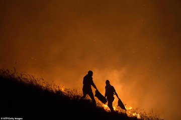 آتش‌سوزی در آفریقای جنوبی