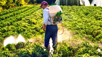 پیوند سموم کشاورزی و سرطان در جنوب
