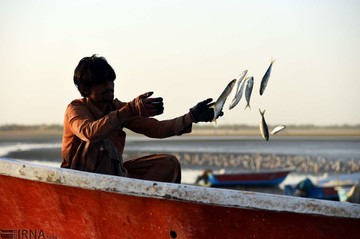 ماهیگیران در خلیج گواتر
