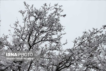 طبیعت برفی اهر