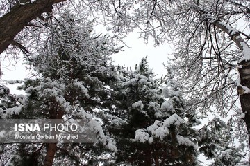 طبیعت برفی اهر