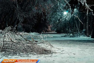 شهر بخارست رومانی