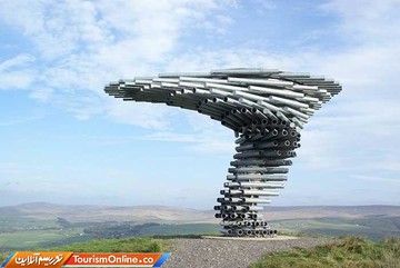 درخت آوازخوان در برنلی –انگلستان- اثر شبکه هنر زیست محیطی لنکشایر