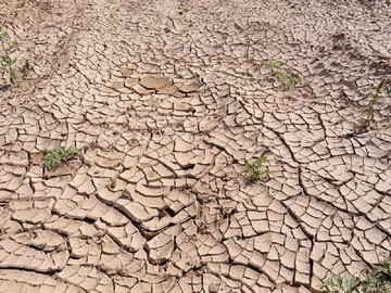 پیش بینی خشک‌سالی با استفاده از فناوری فضایی
