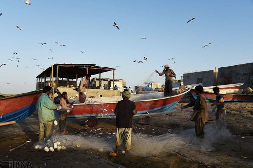 ماهیگیران در خلیج گواتر